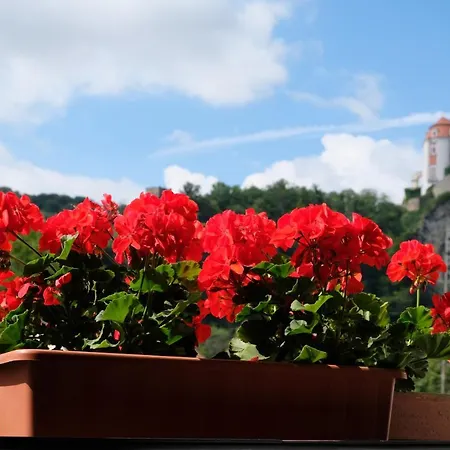 Guest house Hamry Vranov nad Dyji