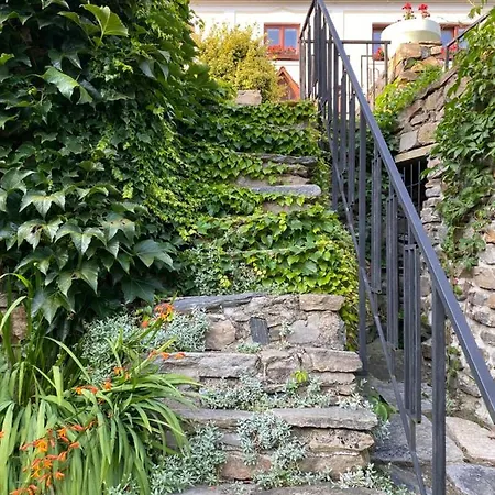 Hamry Guest house *