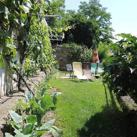 Hamry Vranov nad Dyji